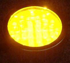 QL-36Y LED amber pond light