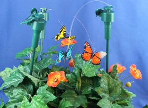 fluttering butterfly