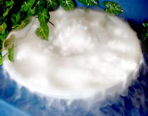 M003 water fogger in action in a 3 inch diameter container
